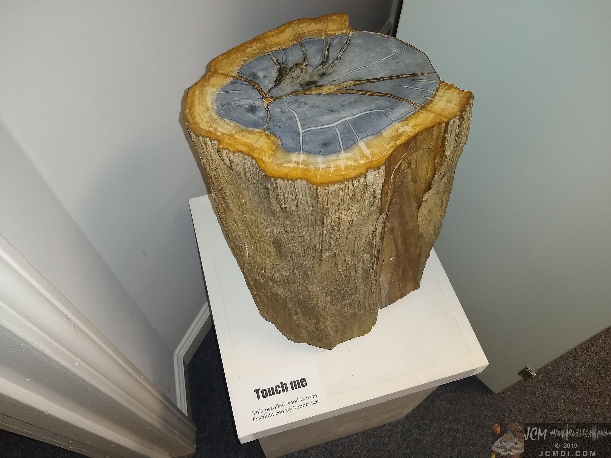 Earth Experience Dinosaur Museum - Petrified wood, Franklin Co, TN